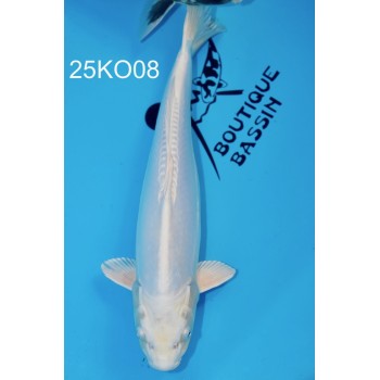 NISAI DOITSU PURACHINA FEMELLE HQ 44 CM DE CHEZ KODA REF 25KO08