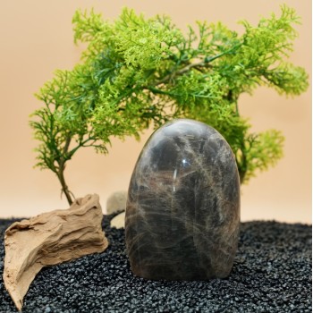 Forme libre Pierre de Lune Noire A 713 gr