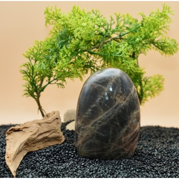 Forme libre Pierre de Lune Noire A 713 gr