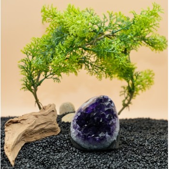 Améthyste forme libre Uruguay AAA 365 gr