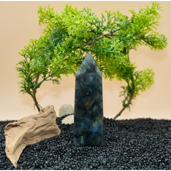 Pointe Labradorite AA 257gr 120 mm